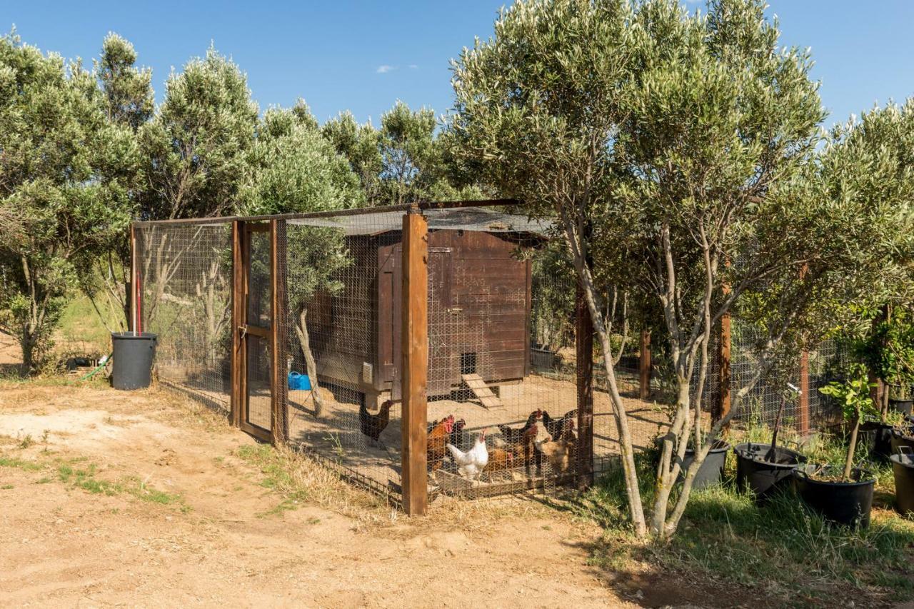 Tenuta Petra Bianca Палау Екстер'єр фото